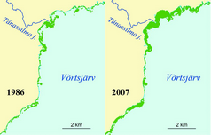 Fragmendid satelliidipiltidest koostatud Võrtsjärve loodeosa rannaroostike kaardist aastaist 1986 ja 2007. Piltidel  on näha, kuidas roostikud  Tänassilma jõe suudmelahe ümbruses laienevad.